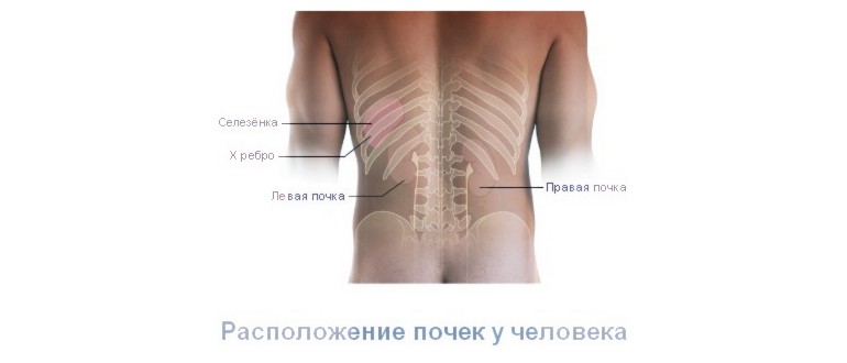 Причини за болки в долната част на гърба отляво и придърпване в корема: какво може да причини тези симптоми