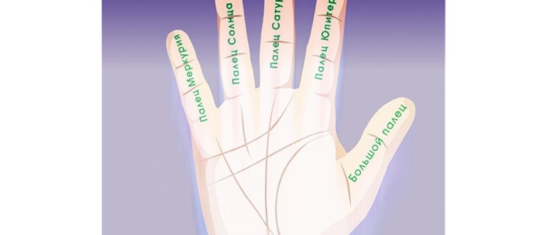 Пръсти на ръката и техните характеристики