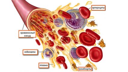 Причините за понижаване нивото на пикочната киселина в кръвта