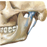 ЯМР на темпорамандибуларната става: томография на челюстната става