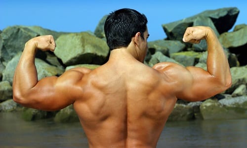 Групи, структура и функции на мускулите на гърба и врата