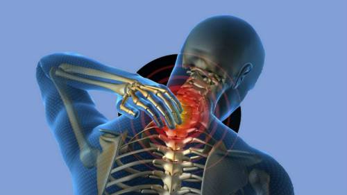 Анатомия на гръдния гръбнак и неговата патология