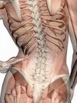 Остеохондроза на симптомите на лумбалната част на гръбначния стълб