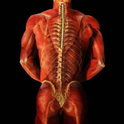Спаз на мускулите в лумбалния гръбнак