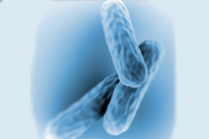 Опасност от туберкулоза за костите и ставите: първите признаци и лечение