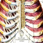 Артроза на гръбначни стави: симптоми и лечение на ставите