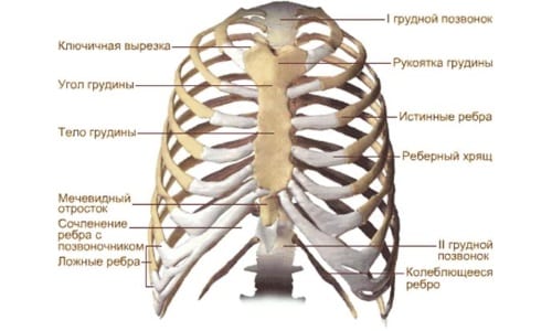 Видове деформации в гръдния кош (МКБ 10) и тяхното лечение