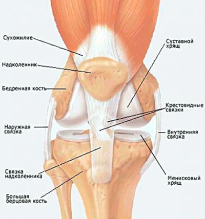 Възможни причини за болка в колянната става при огъване