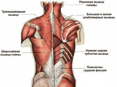 Причини за болка в гръбначния стълб