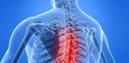 Причини за криза в гръбначния стълб