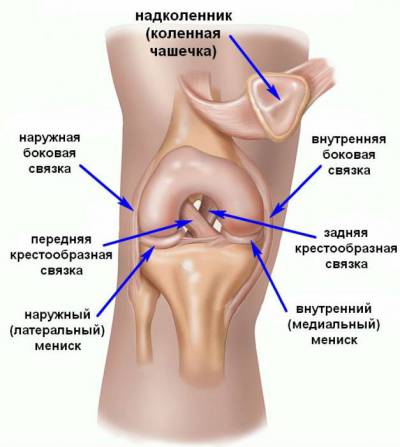 Причини за болка в колянната става