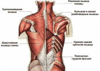 Основните причини за болки в гърба