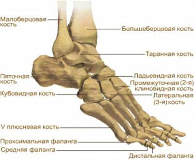 Основните причини за болка в краката