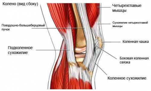 Основните причини за болка под коляното