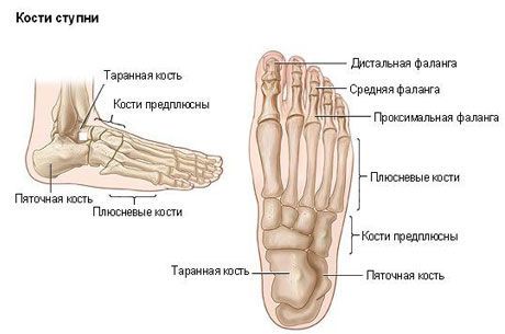 Болка в краката под пръстите