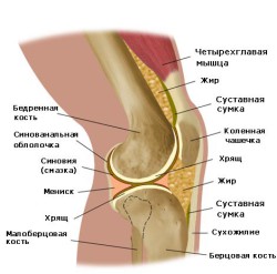 Причини за болка в коляното: какви заболявания го причиняват?