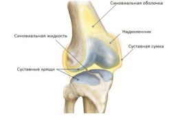 Течност в колянната става: причините за появата, симптомите и лечението