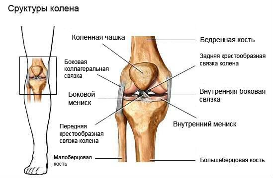 Разтягане на колянните връзки и лечението му