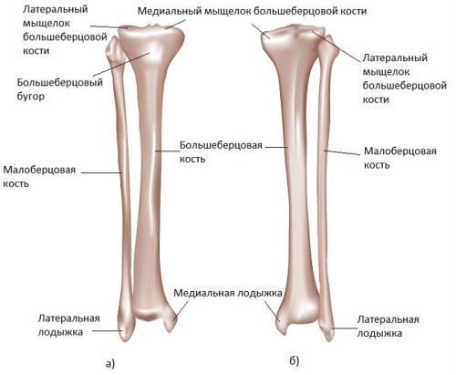 Фрактура на костите на долните крака