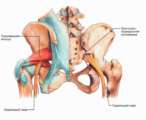 Характеристики на лумбалния лумбален гръбнак