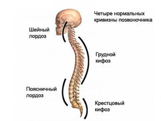 Остеохондроза на лумбосакралния гръбначен стълб