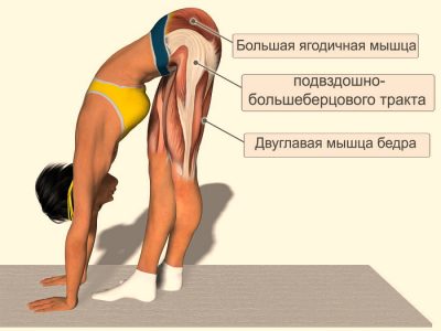 Как се лекува разтягането на бедрените мускули?