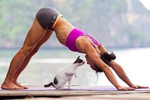 Асани от йога - универсално решение на проблемите с гърба