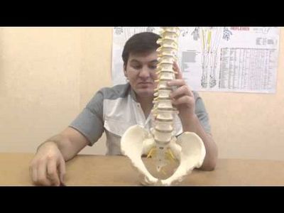 Упражнения за обратно от херния на Видеото на гръбначния стълб