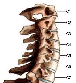 Симптомите на херния на гръбначния стълб