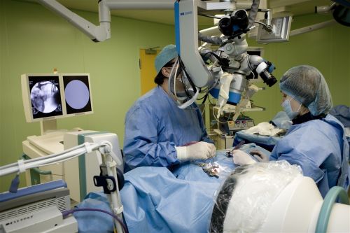 Характеристики на хирургията за ендоскопско отстраняване на херния на гръбначния стълб