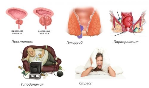 Характерни симптоми на кокцидия и методи за неговото лечение