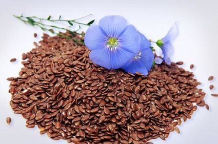 Ползите и вредата от ленените семена при лечение на хора