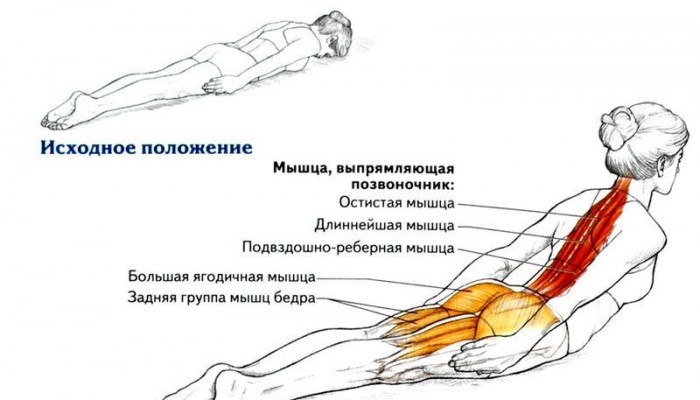 Упражнения за укрепване на долната част на гърба