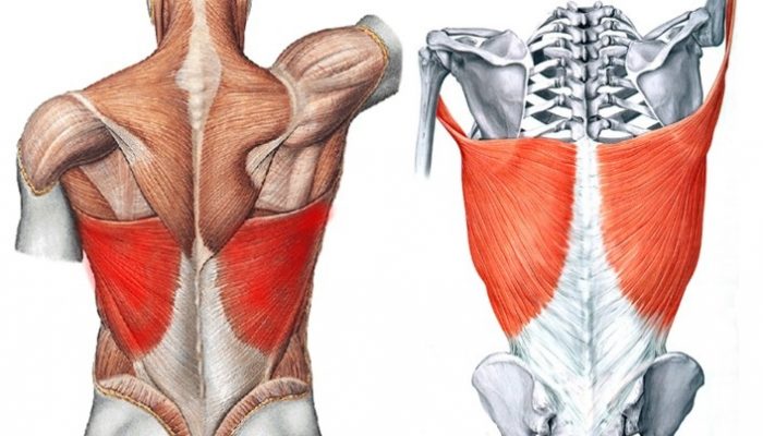 Как да помпате мускулите на гърба в дома?