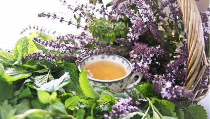 Манастирски чай: състав, методи на употреба