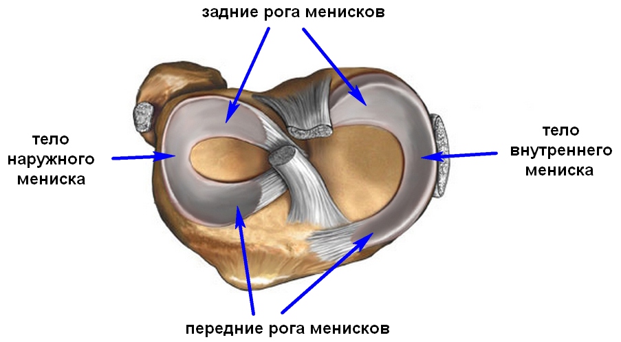 Работа по менискуса на колянната става, рехабилитация