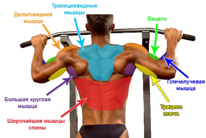 Най-добрите упражнения за най-широките мускули на гърба