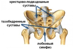 Бременност остра болка в гърба