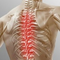 Болки в гърба от раменете до кръста