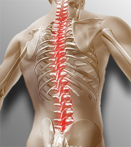 Болка в гърба при остеопороза