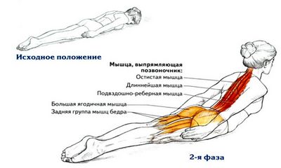 Bubnovsky упражнения за гърба с остра болка