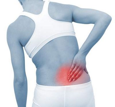 Билки за болки в гърба