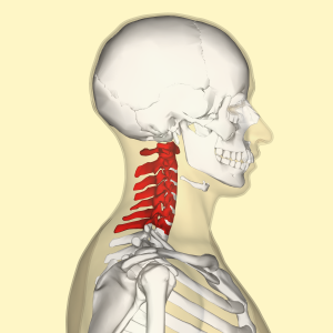 Аномалии на гръбначния стълб на гръбначния стълб