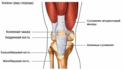 Лечение на болка в колянната става