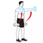 Как да подсилим ставите на ръцете и раменете: упражнения за укрепване на сухожилията