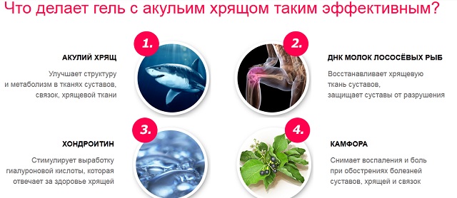 Мехлем Акулов хрущял - естествена здравина и здравина за ставите