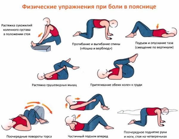 Упражнения за лечение и укрепване на гърба