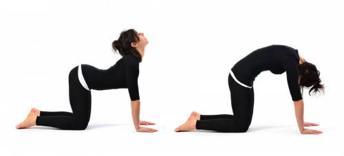 Ефективни упражнения за разтягане на мускулите на гърба