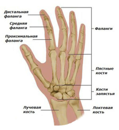 Причини, симптоми и начини за лечение на изхвърлен пръст
