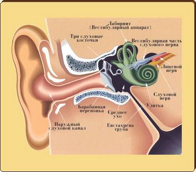 Шум в ушите с цервикална остеохондроза
